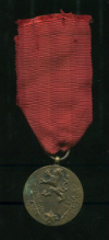 Медаль "За службу Власти". Чехословакия