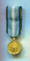 Медаль "За службу в Антарктике" (Фрачный вариант) США