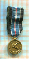 Медаль "За Гуманитарную Операцию" (Фрачный вариант) США