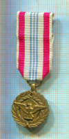 Медаль “За заслуги в обороне страны” (Фрачный вариант) США