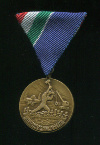 Медаль "За Борьбу с наводнением". Венгрия