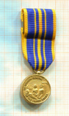 Медаль Главного Врача. США. (Миниатюра. Фрачный вариант)