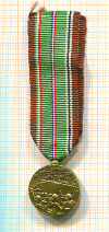 Медаль Европейско-Африканско-Ближневосточной кампании. США. (Миниатюра. Фрачный вариант)