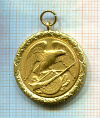 Медаль стрелкового союза. Германия